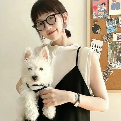 龙城风云